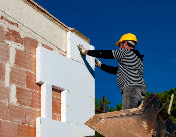Best Insulation Replacement Services  in Williamstown, WV