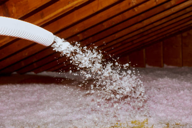 Best Insulation Replacement Services  in Williamstown, WV