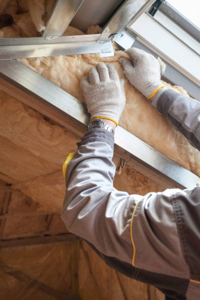 Best Wall Insulation Contractor  in Williamstown, WV