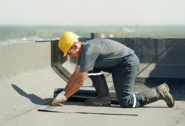 Best Attic Insulation Installation  in Williamstown, WV